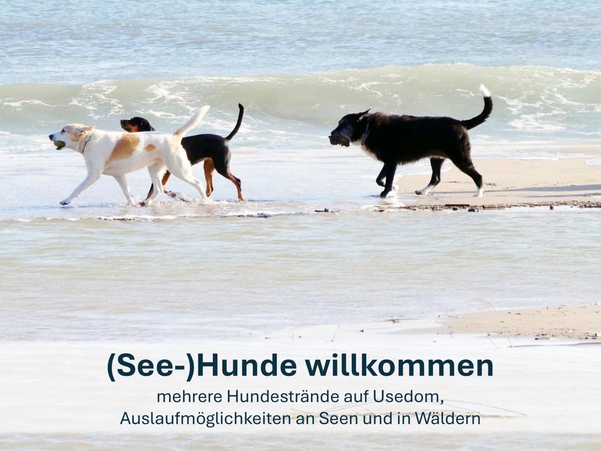 Ferienwohnung Ursel Heringsdorf (Usedom) Exterior foto